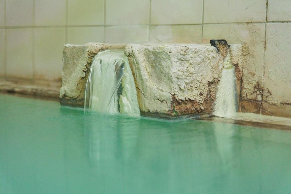 Fotografie z fotogalerie ubytování Yoshidaya v destinaci Zao Onsen