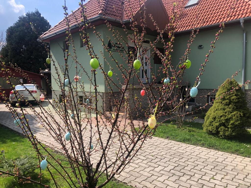 A garden outside Bakonyi Mamutfenyő Vendégház