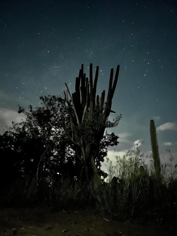 Foto sihtkohas Villavieja asuva majutusasutuse Bosque Seco Bioreserva & Hostel galeriist