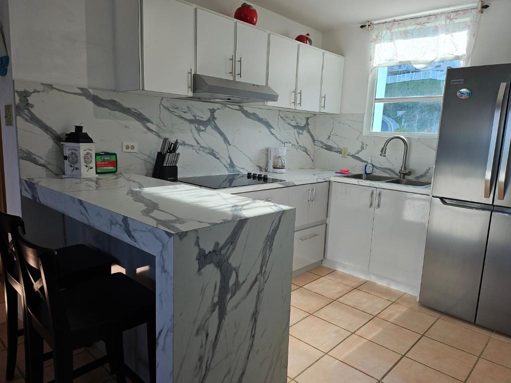 Kuchyň nebo kuchyňský kout v ubytování Tropical Villa Ocean View