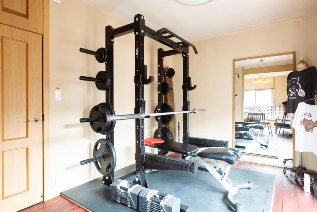 Fitness centrum a/nebo fitness zařízení v ubytování Popotel Three