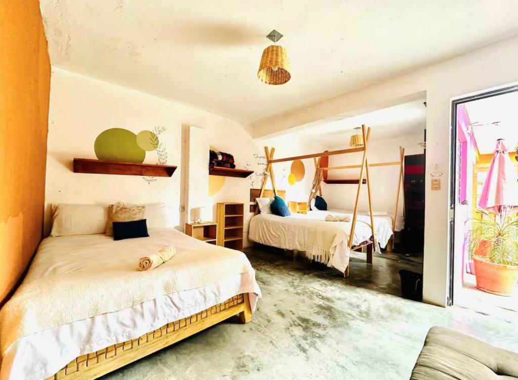 Gallery image of Casa Sofia Guest House in San Cristóbal de Las Casas