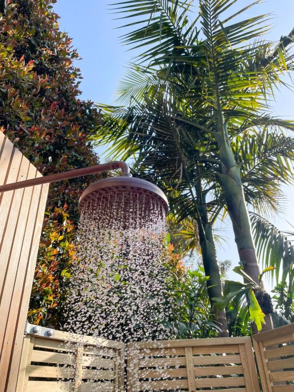 Romantic Retreat, Hot Tub, Glasshouse, Ensuite - Resim 22