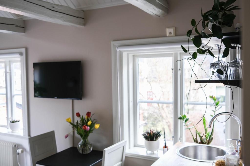 TV a/nebo společenská místnost v ubytování Johannas GuestHouse