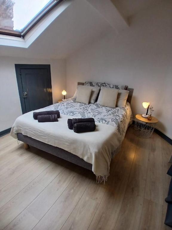 une chambre avec un grand lit avec deux oreillers dans l'établissement Charmant T2 au coeur d'Angers, à Angers