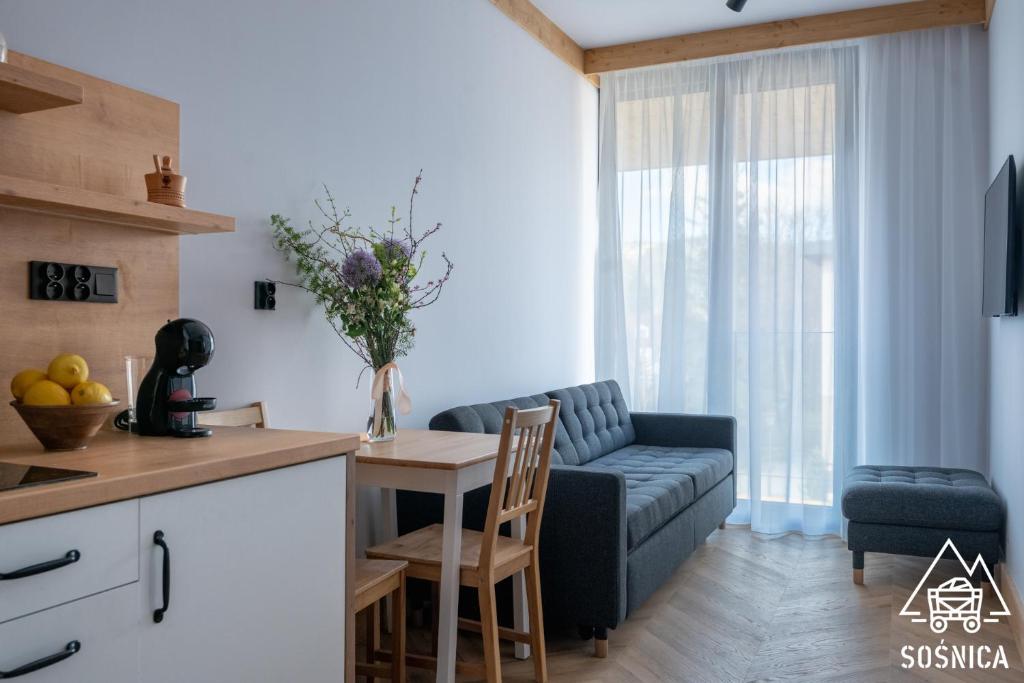 
One-Bedroom Standard Apartment A29 without air conditioning
