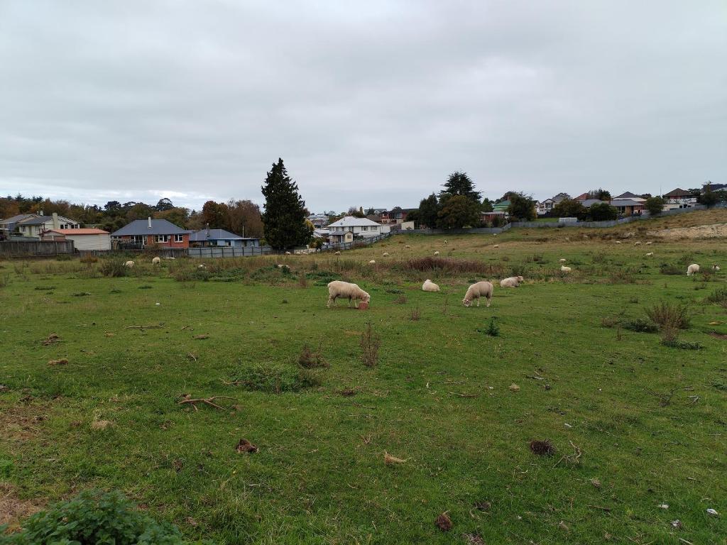 Affordable Entire Apartment - Resim 13