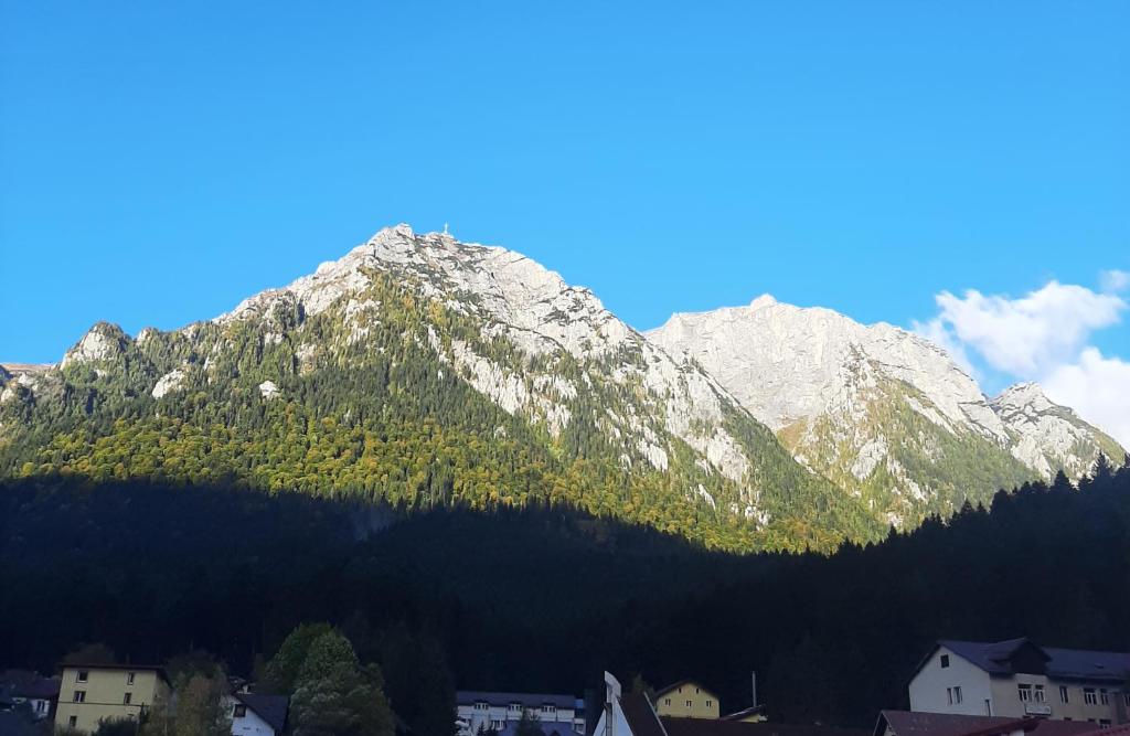 Galería fotográfica de Casa Katalina 2 en Buşteni