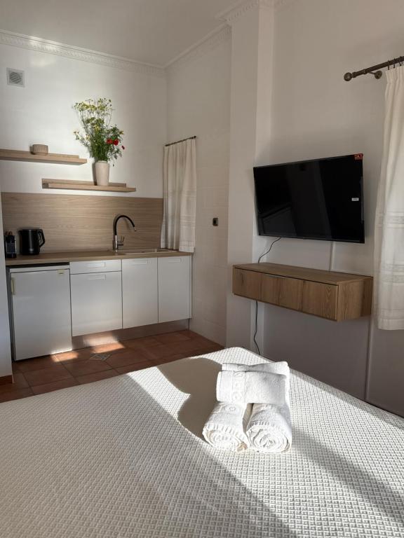 TV a/nebo společenská místnost v ubytování Limeni Studios