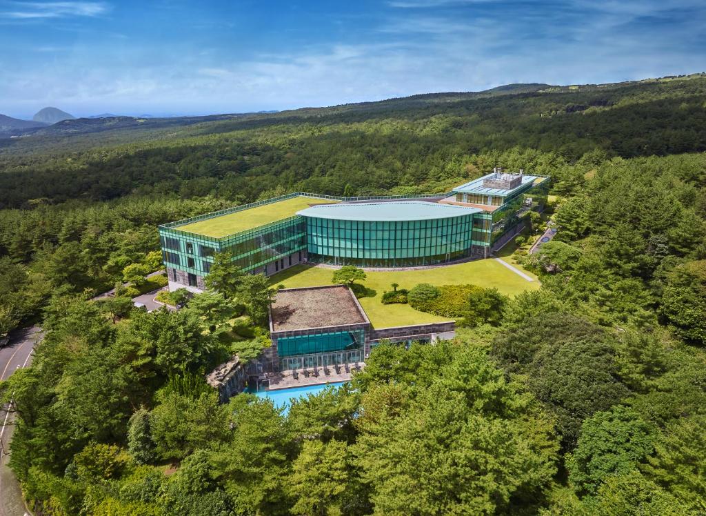西归浦市济州岛WE酒店的树林中建筑物的空中景观