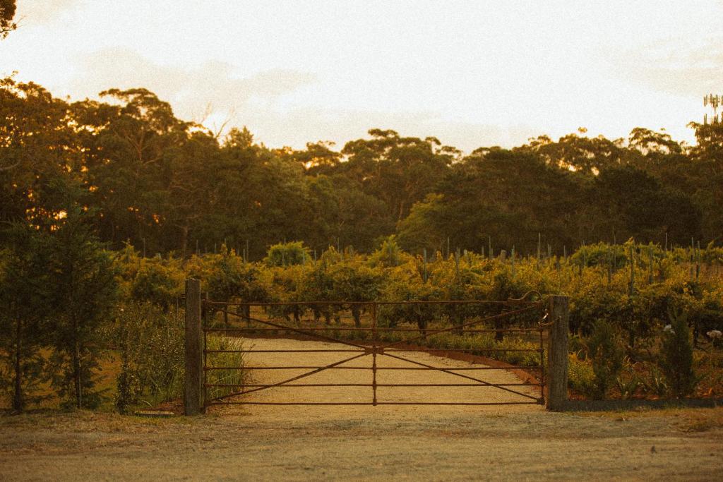 Billede fra billedgalleriet på B Farm i Bobs Farm