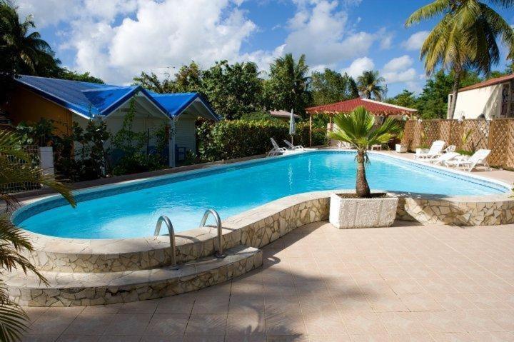 una piscina con una palmera al lado de una casa en Hotel Le Rotabas, en Sainte-Anne
