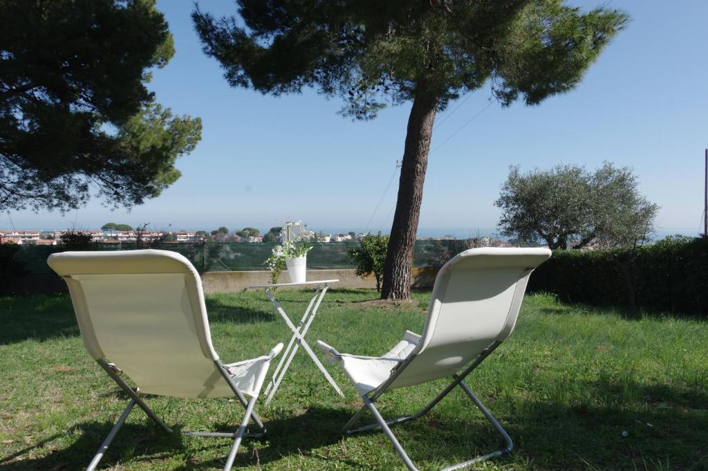 two chairs sitting in the grass near a tree at La Casa di Betta in Marcelli
