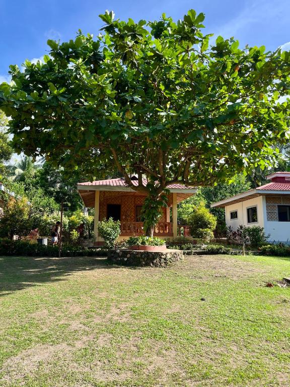a large tree in front of a house at Paco's Garden Home Stay in Mambajao