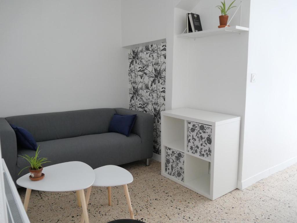 un salon avec un canapé et une table dans l'établissement Le 14 - 1 Chambre hyper centre, à Béziers