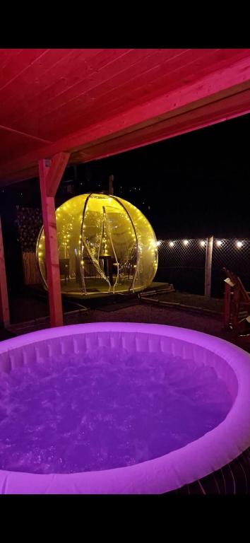 Tiny House Colibita - Chalet Met één Slaapkamer