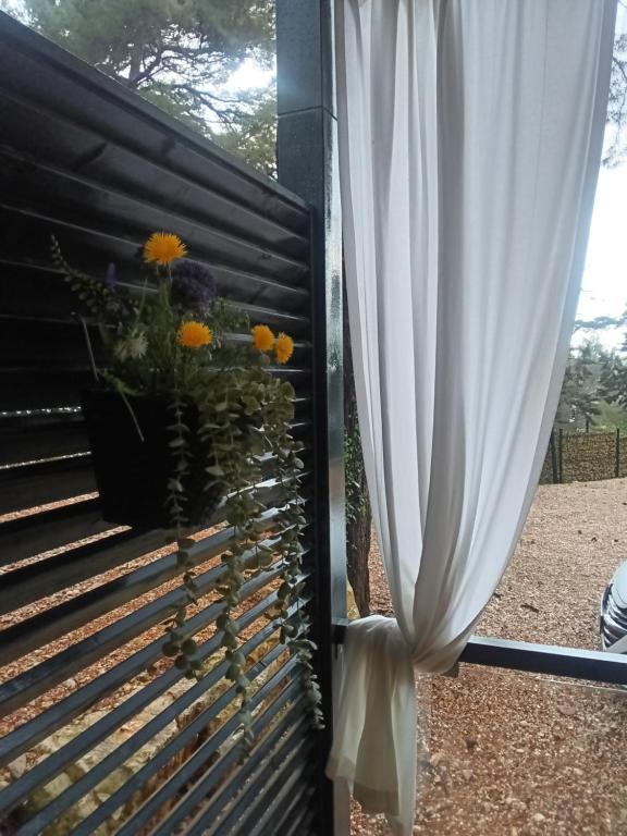 Zahrada ubytování Mobile Home Itana Nr 127