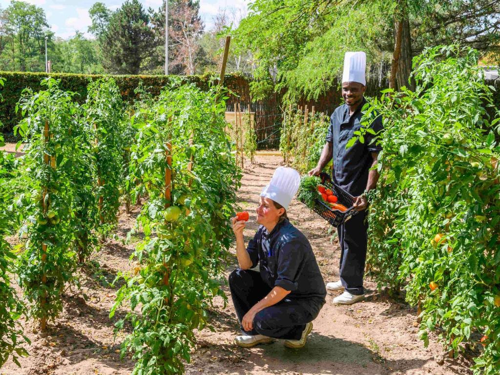 Hosté ubytování Novotel Orléans Chemins De Sologne Demeures De Campagne