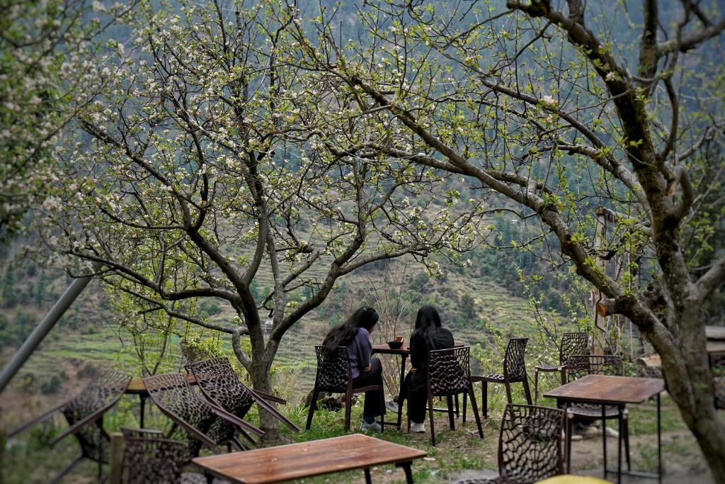 two people sitting at a table under some trees at YAARI Shangarh in Shangarh