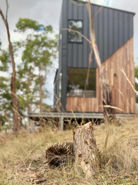 a tree stump in front of a house at Richmond Wildlife Haven in Richmond