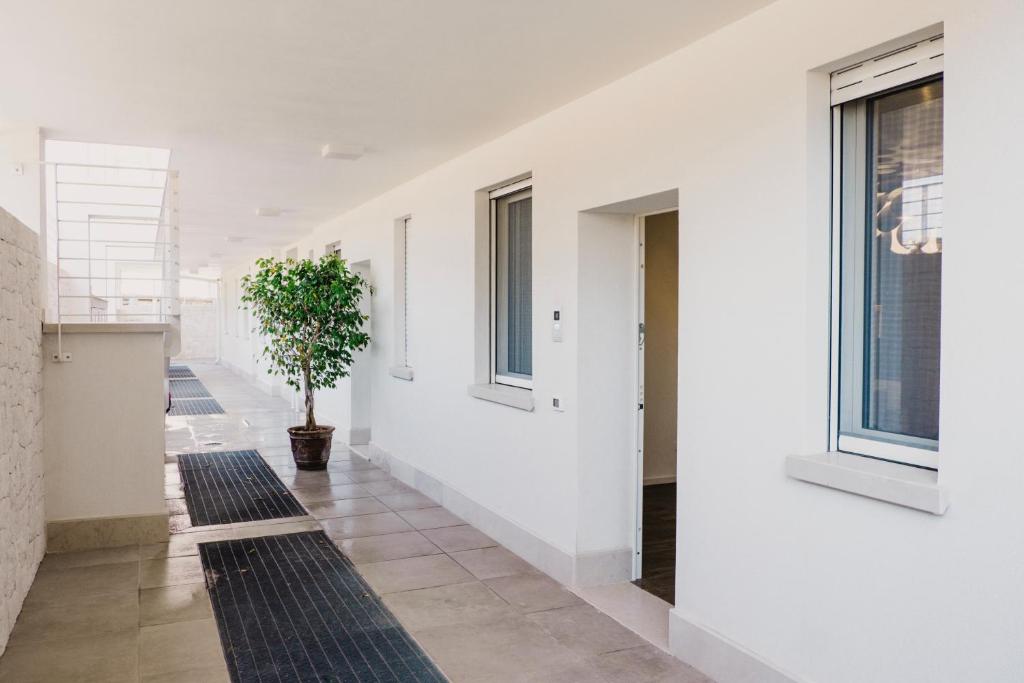 Fotografie z fotogalerie ubytování Venti D'Amare Suites v destinaci Polignano a Mare