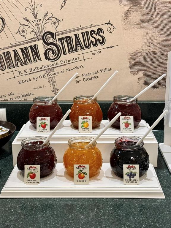 Hotel Johann Strauss - Resim 11