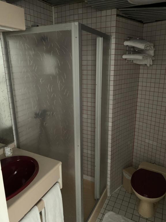 Picardy Hôtel-Gare du Nord - Resim 3