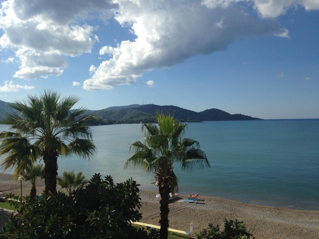 a beach with palm trees and the water at Hotel Berlin in Fethiye