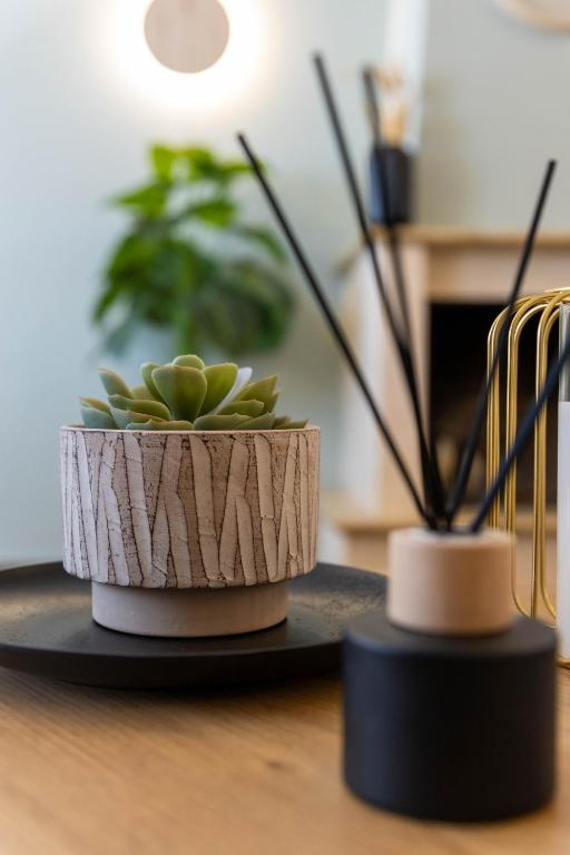 two potted plants sitting on a wooden table at THETIS Luxury House in Nikiti