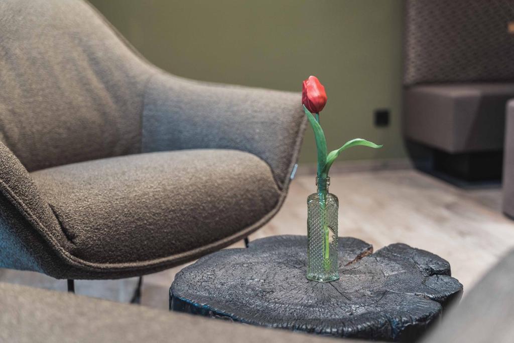 BinderS Budget City-Mountain Hotel - Resim 21