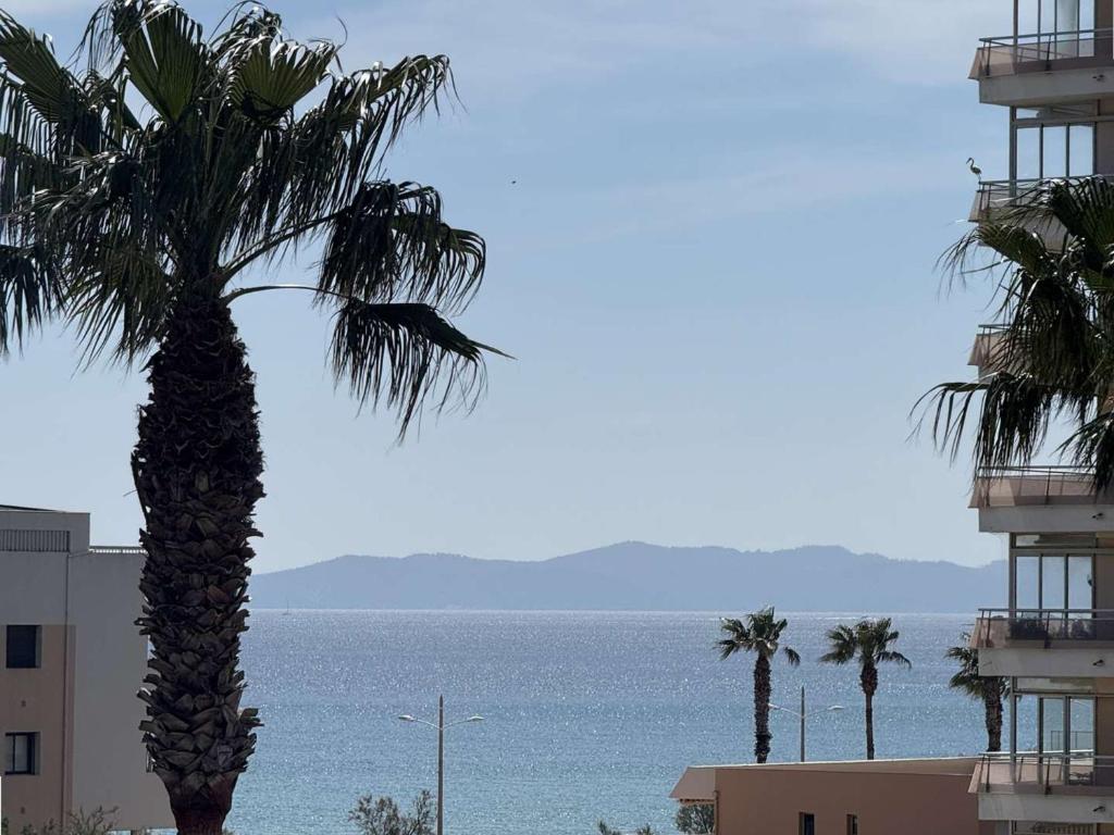 un palmier en face d'un bâtiment et de l'océan dans l'établissement Appartement Climatisé 2 Étoiles avec Balcon, Proche Plage et Centre - Le Lavandou - FR-1-308-199, au Lavandou