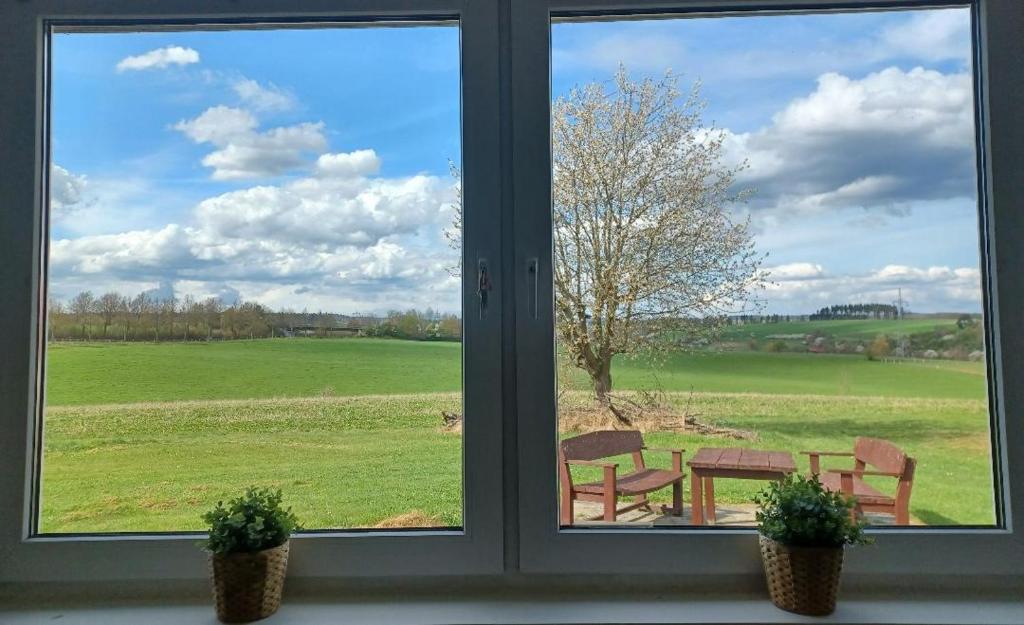 a window with a view of a field with two benches at Natur Zentral Frankenberg Eder in Frankenberg