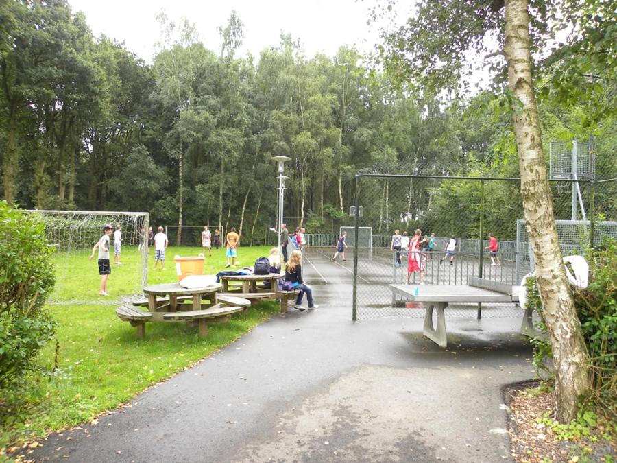 Un groupe de personnes dans un parc avec des tables de pique-nique dans l'établissement Chalet op groen park, à Hoevelaken