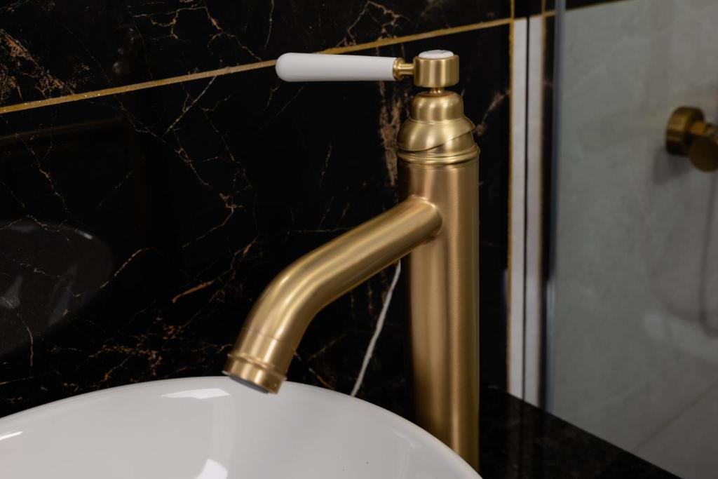 Magna Oura - Resim 43