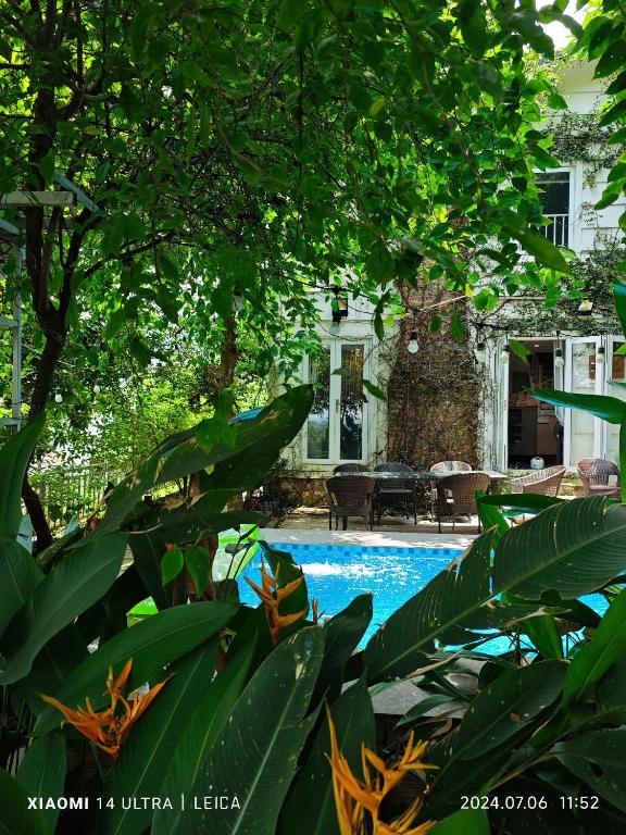 a swimming pool in front of a house with trees at Villa La Senlis, biệt thự kiểu Pháp in Hòa Bình