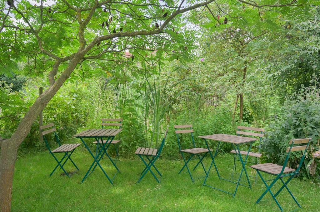 Grand duplex familial 113 m - Jardin - Colmar Gare - 4 Chambres – photo 38