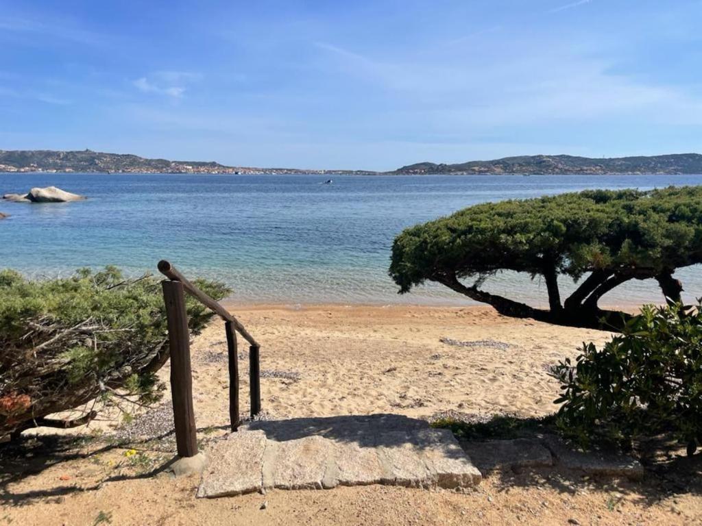 Naturlandskabet i nærheden af lejligheden