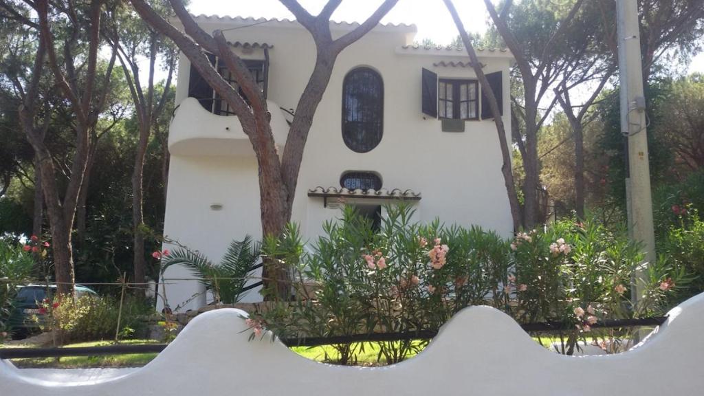 a white house with a tree in front of it at Villa Pina 100 meters from the sea in Fort Village