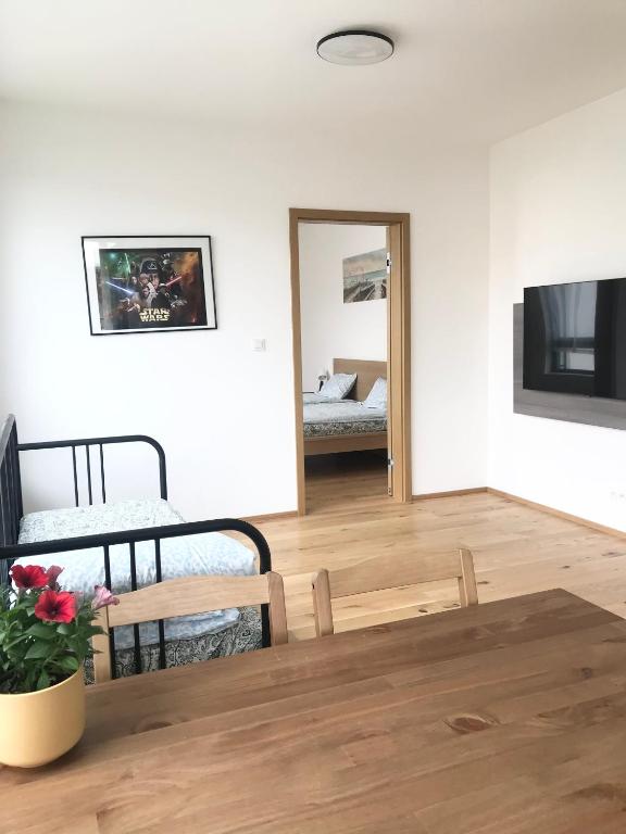TV a/nebo společenská místnost v ubytování apartmánplus02