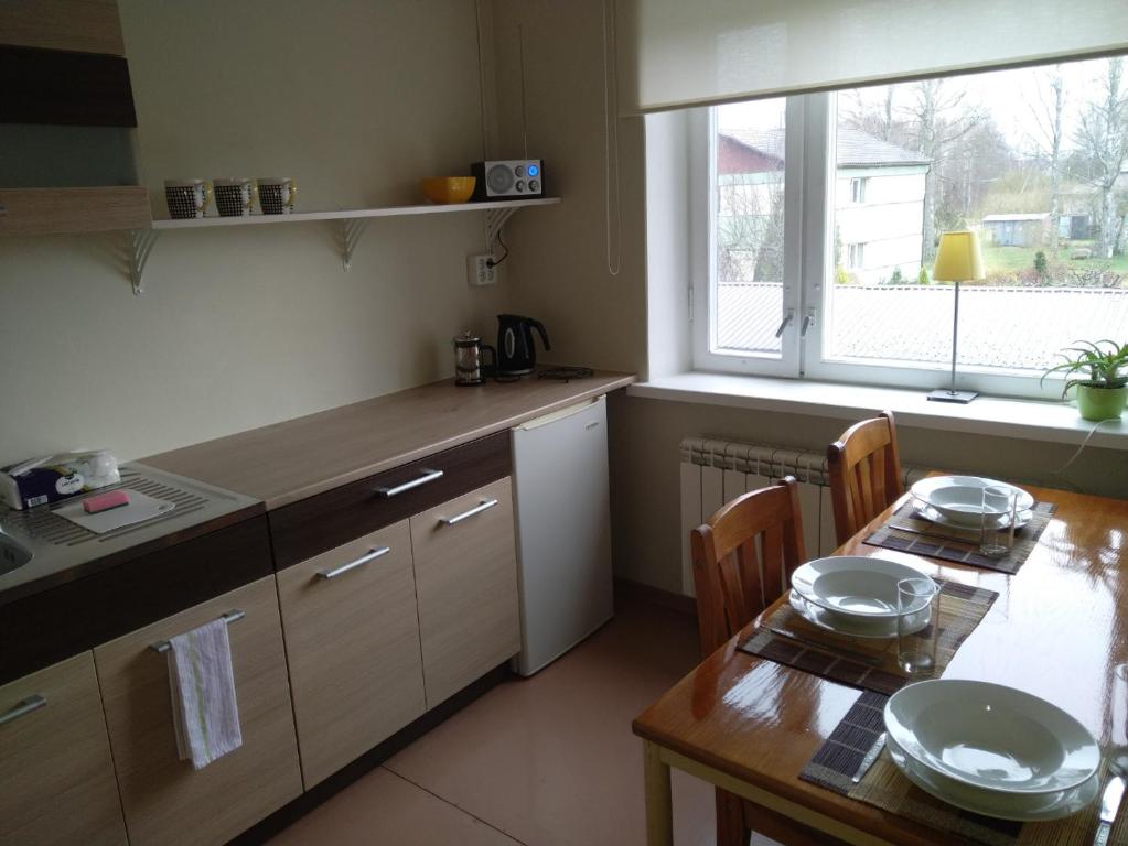 Kuchyň nebo kuchyňský kout v ubytování K15HOSTEL guest apartments
