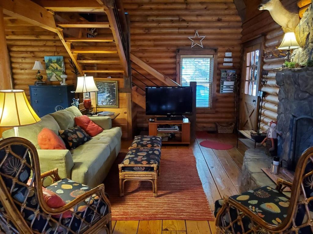 TV a/nebo společenská místnost v ubytování Appalachian Cabin- Trout Stream Firepit Hot Tub