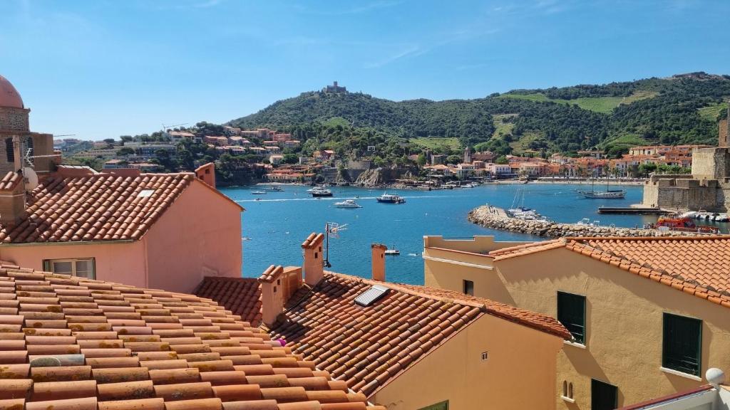 une vue d'un port depuis les toits des maisons dans l'établissement Les Toits de Collioure, à Collioure