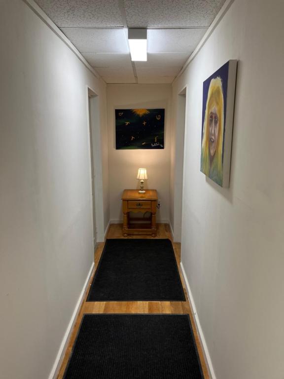 Art Gallery Hostel photo
