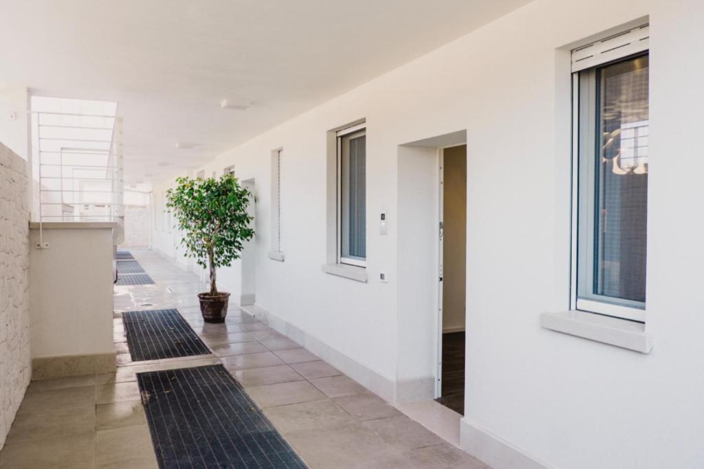 Fotografie z fotogalerie ubytování Venti D'Amare Suites v destinaci Polignano a Mare