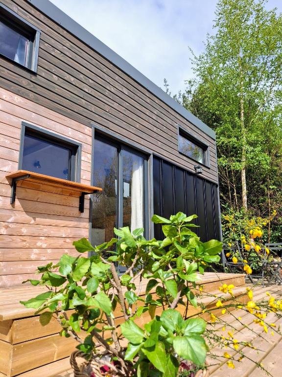 une maison avec une allée noire et un arbre dans l'établissement My Tiny House proche mer, à Clohars-Fouesnant