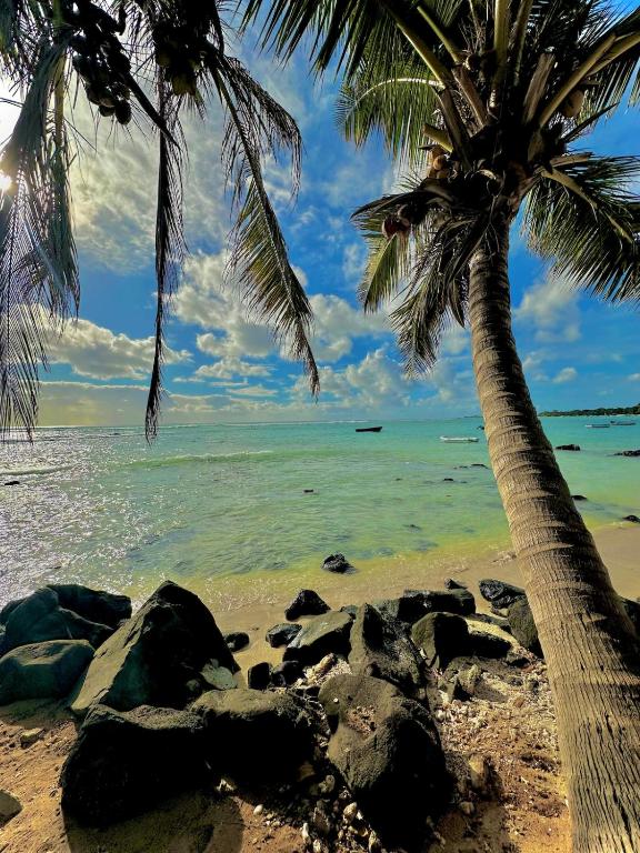 a beach with two palm trees and the ocean at Trou aux Biches Cosy House in Trou aux Biches