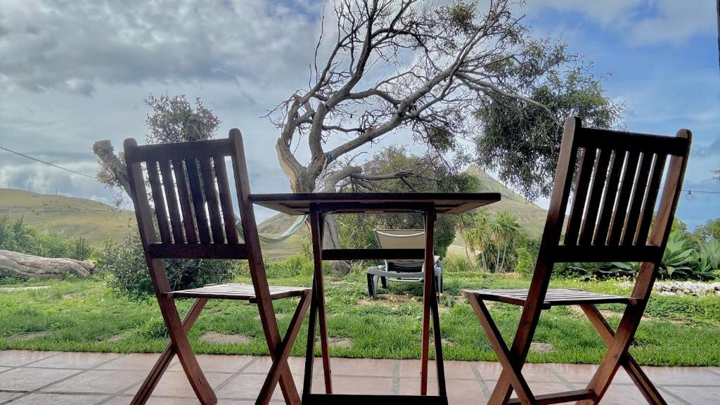 two chairs and a table in front of a tree at Alojamento Casas da Serra in Porto Santo