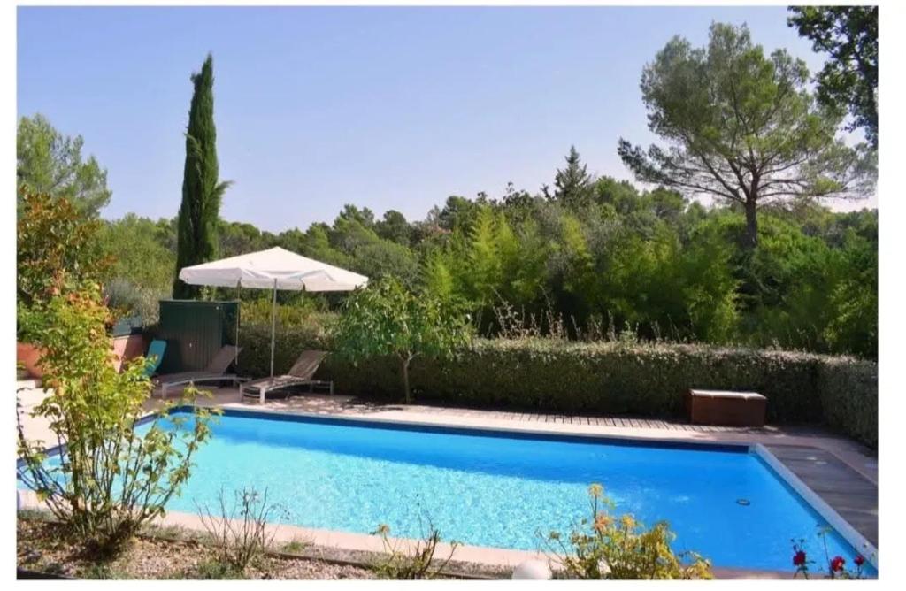 - une piscine dans un jardin avec un parasol dans l'établissement Villa accueillante avec piscine à Seillans, à Seillans