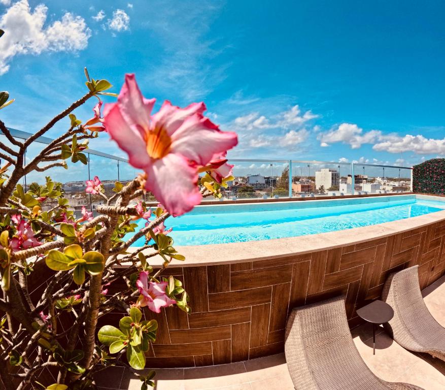 a pink flower next to a swimming pool at Studios with roofpool in Vanessa 24 in Playa del Carmen