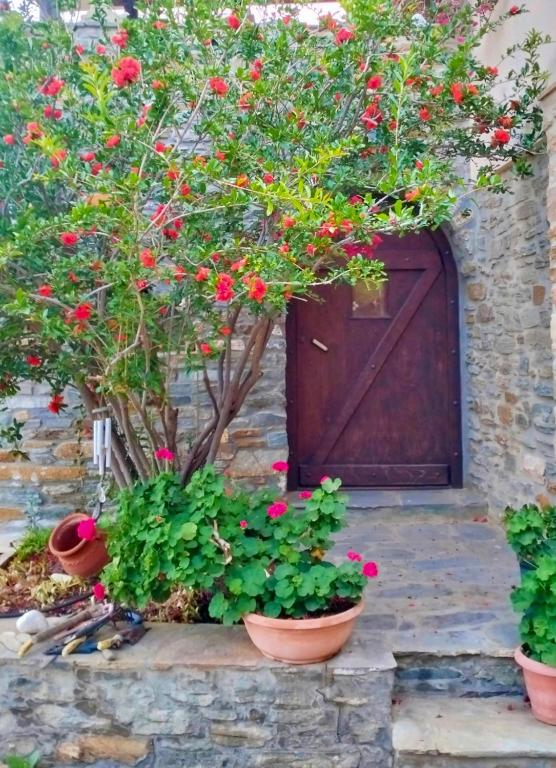 a tree with red flowers in front of a door at Πέτρινο in Tinos
